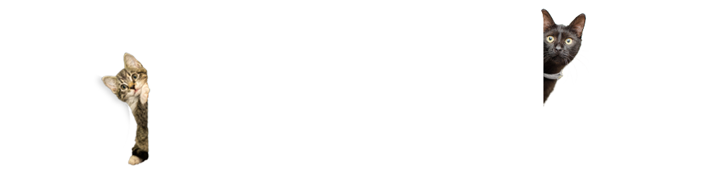 Simbia Let Pets Be Animals